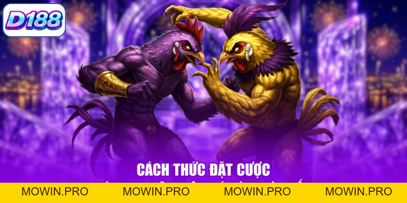 Đá Gà D188 - Sảnh Cược Uy Tín Với Nhiều Kèo Hấp Dẫn - Mowin
