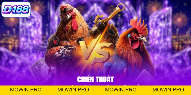 Đá Gà Cựa Dao - Khám Phá Những Trận Đấu Kịch Tính Nhất - Mowin