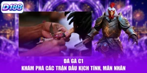 Đá Gà D188 - Sảnh Cược Uy Tín Với Nhiều Kèo Hấp Dẫn - Mowin