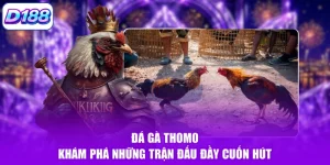 Đá Gà D188 - Sảnh Cược Uy Tín Với Nhiều Kèo Hấp Dẫn - Mowin