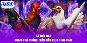 Đá Gà D188 - Sảnh Cược Uy Tín Với Nhiều Kèo Hấp Dẫn - Mowin