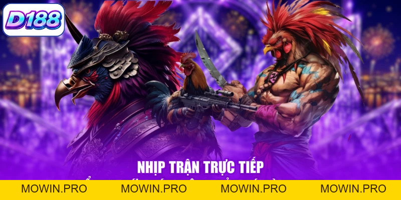 Đá gà Thomo - Khám Phá Những Trận Đấu Đầy Cuốn Hút - Mowin