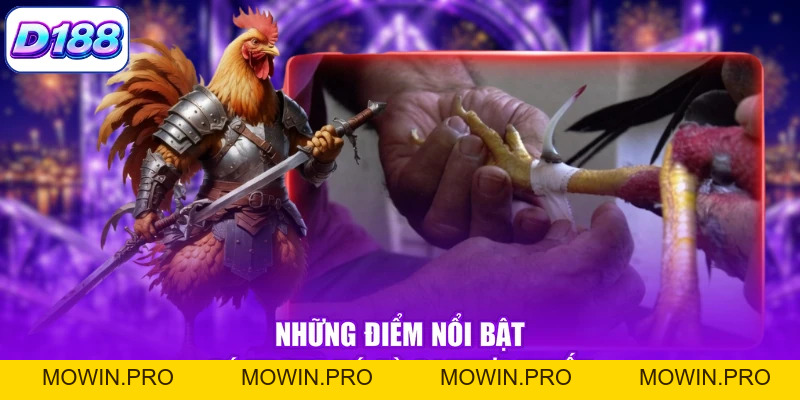 Đá Gà C1 - Khám Phá Các Trận Đấu Kịch Tính, Mãn Nhãn - Mowin