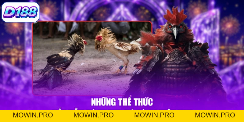 Đá Gà C1 - Khám Phá Các Trận Đấu Kịch Tính, Mãn Nhãn - Mowin
